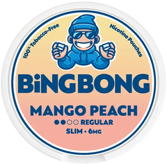 BiNGBONG Nicotine Pouches
