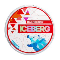 Iceberg Nicotine Pouches